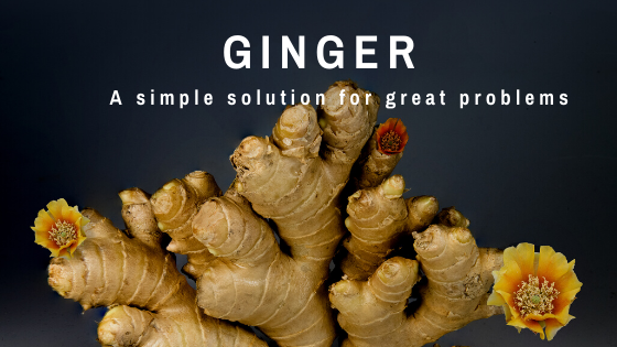 uses of ginger